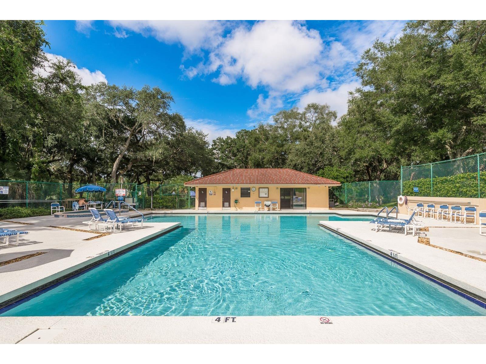 2702 14th Court Palm Harbor FL 34684 TB8475340 image30