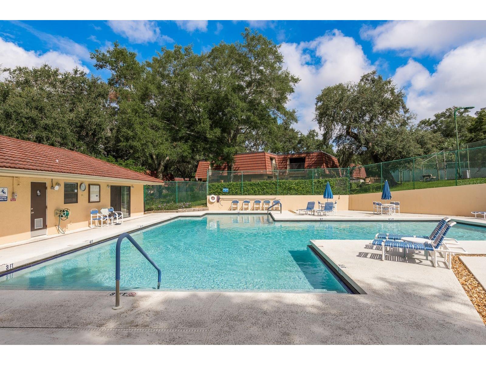 2702 14th Court Palm Harbor FL 34684 TB8475340 image31