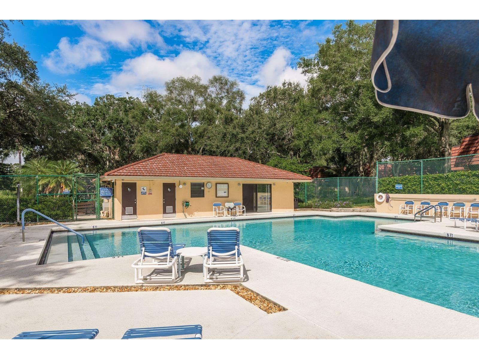 2702 14th Court Palm Harbor FL 34684 TB8475340 image32