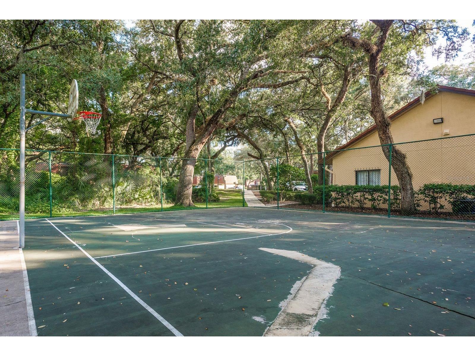 2702 14th Court Palm Harbor FL 34684 TB8475340 image35