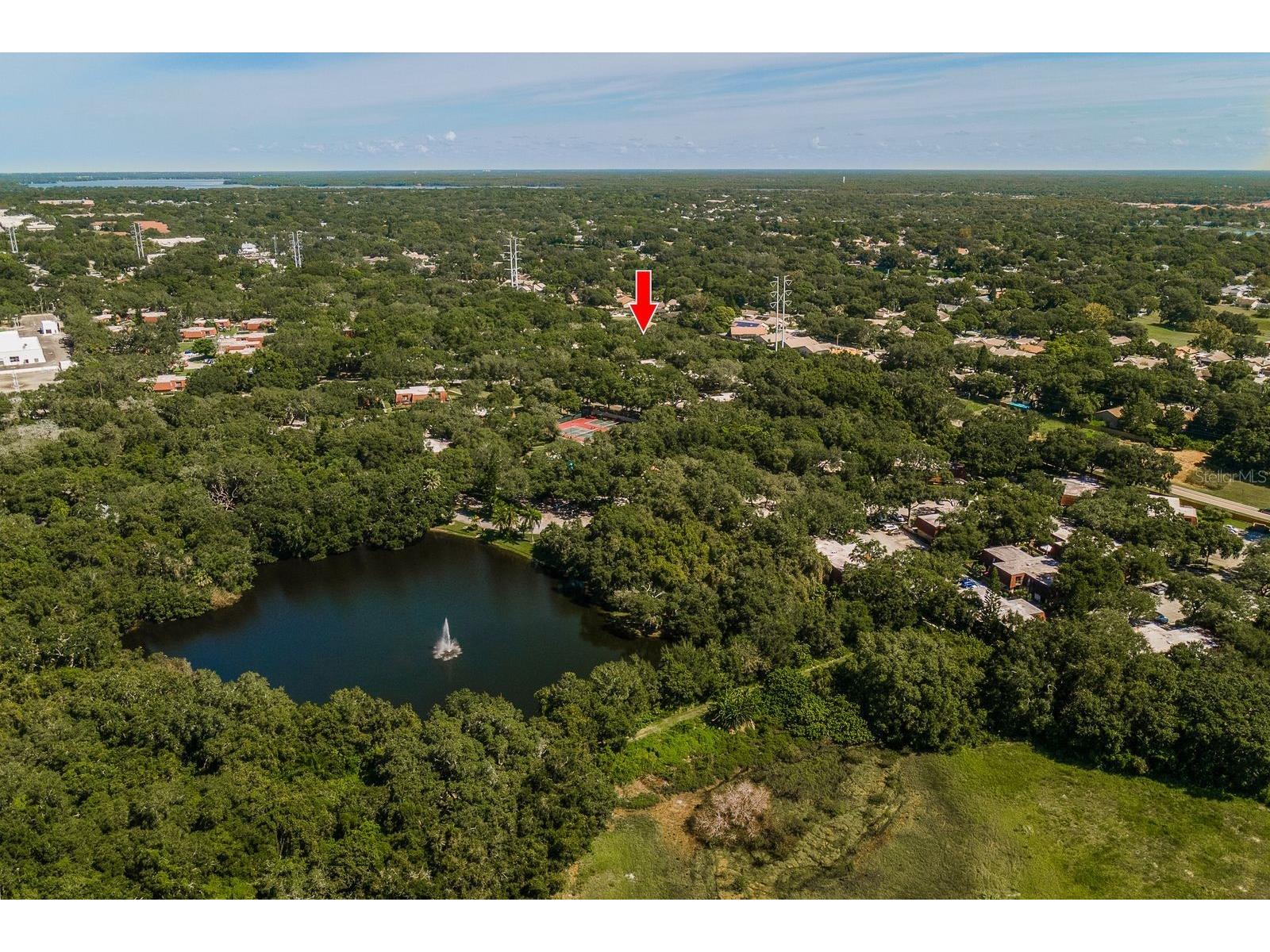 2702 14th Court Palm Harbor FL 34684 TB8475340 image36