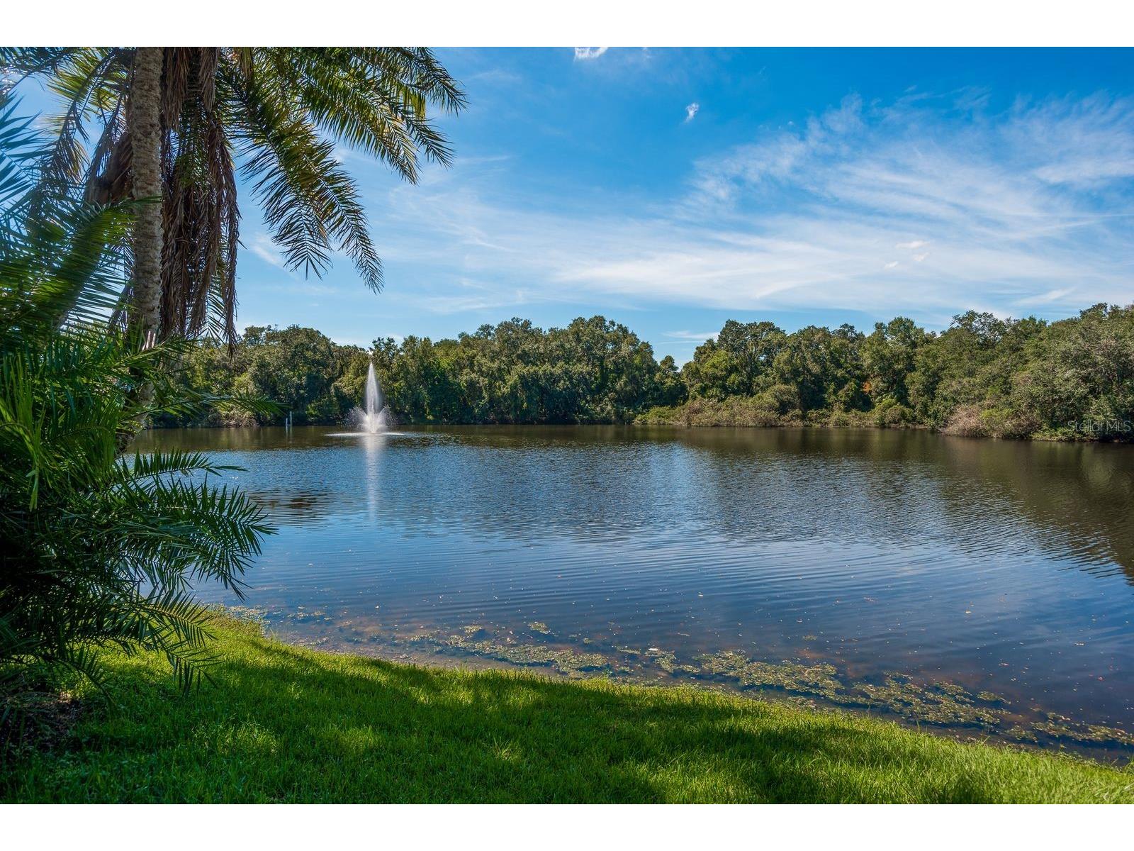 2702 14th Court Palm Harbor FL 34684 TB8475340 image37