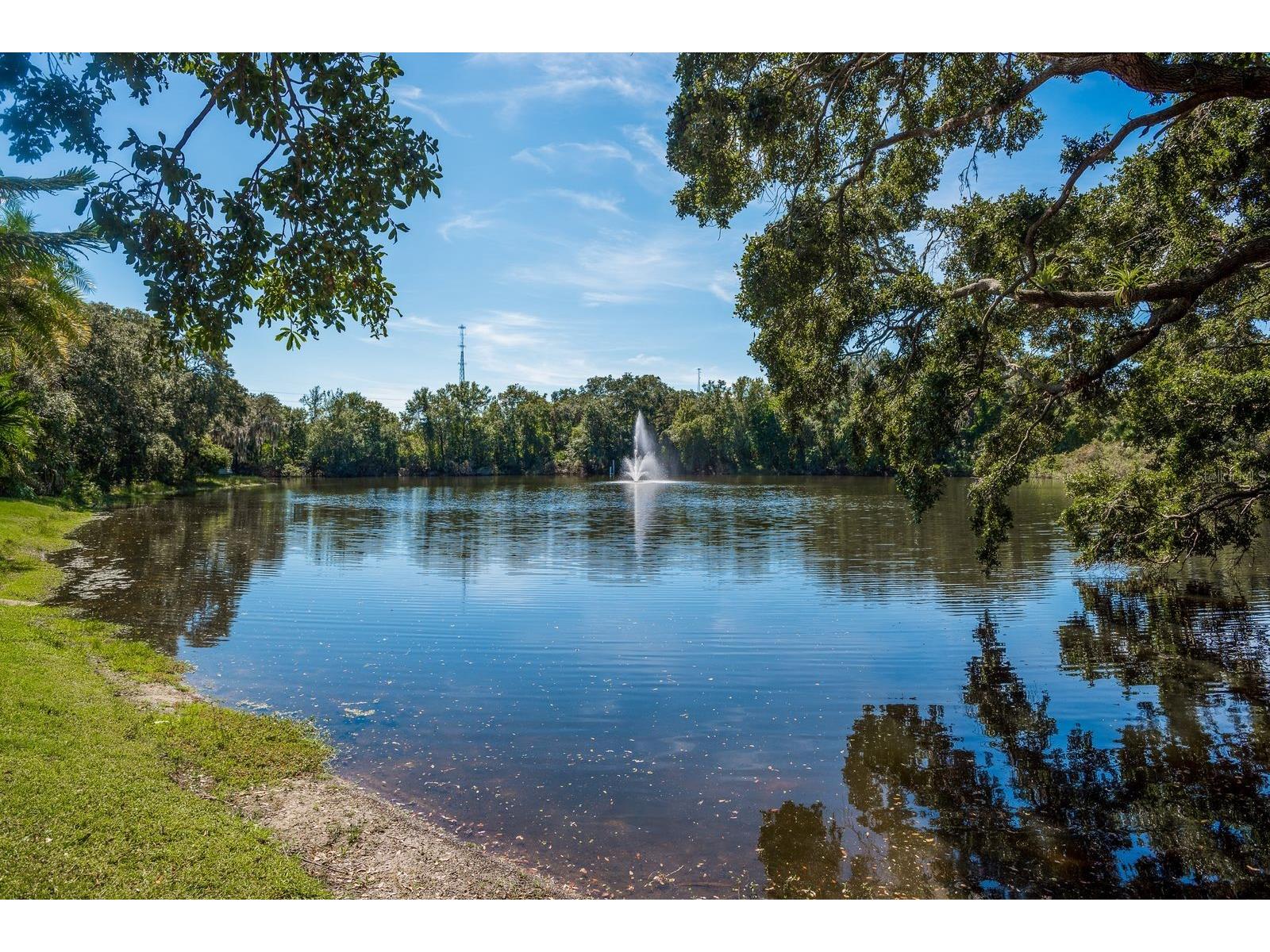 2702 14th Court Palm Harbor FL 34684 TB8475340 image38