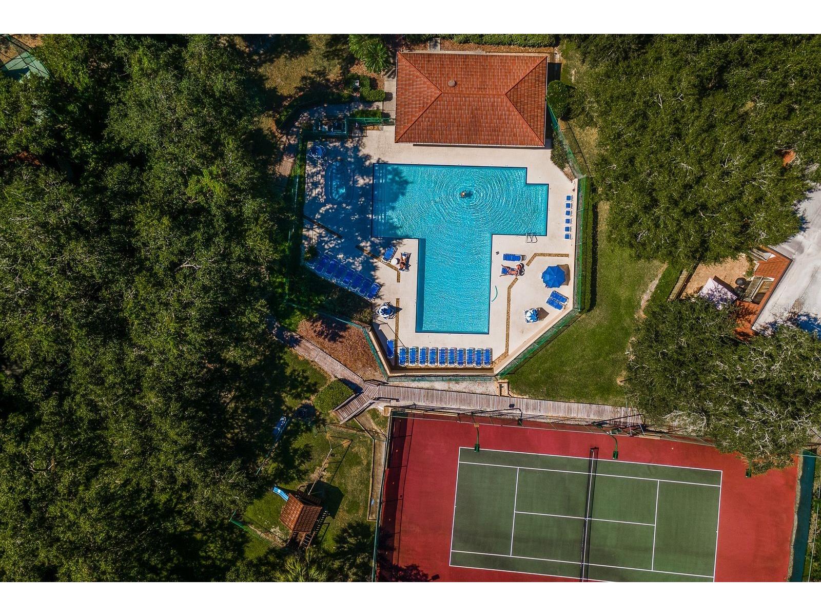 2702 14th Court Palm Harbor FL 34684 TB8475340 image39