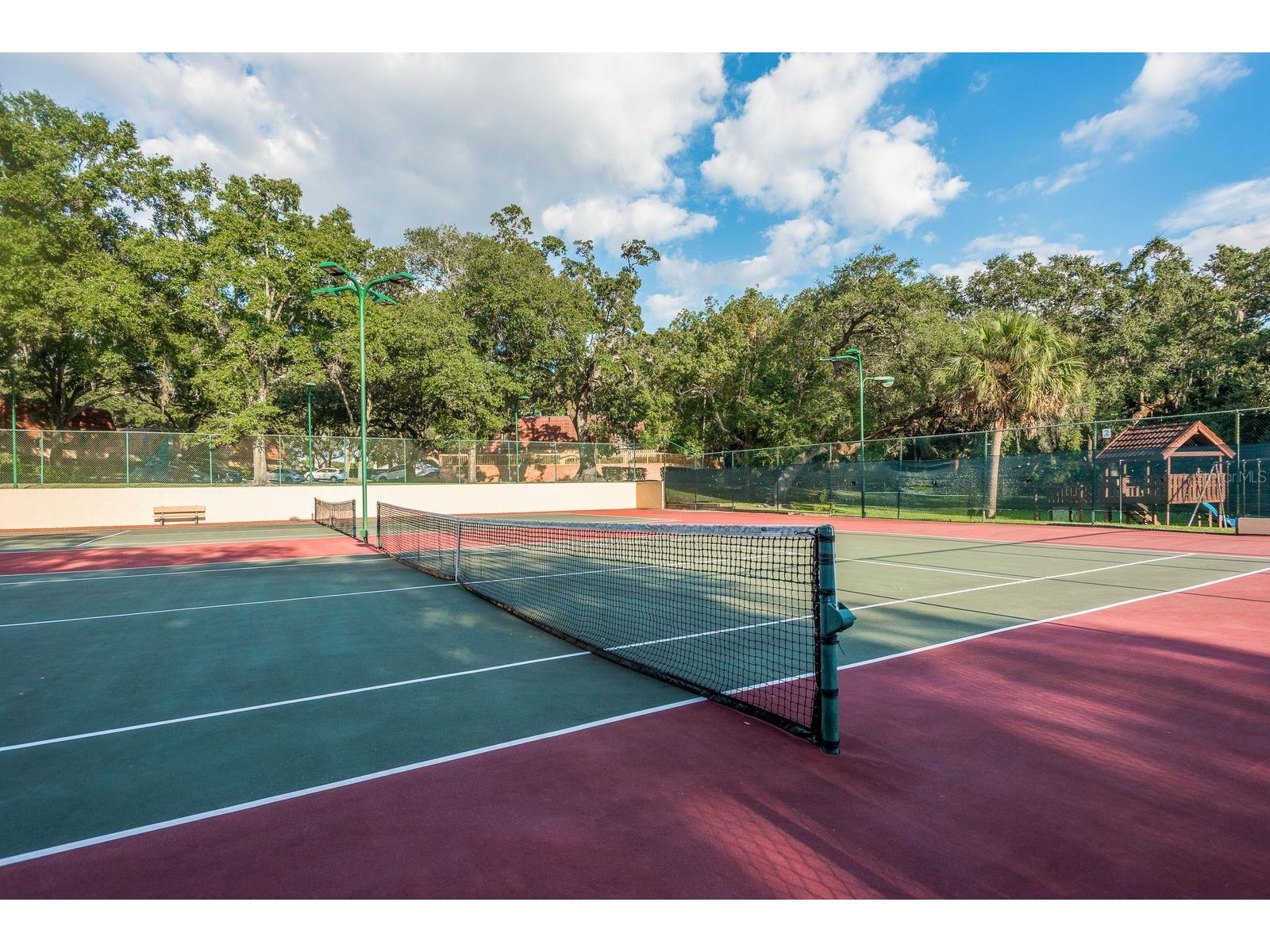 2702 14th Court Palm Harbor FL 34684 TB8475340 image40