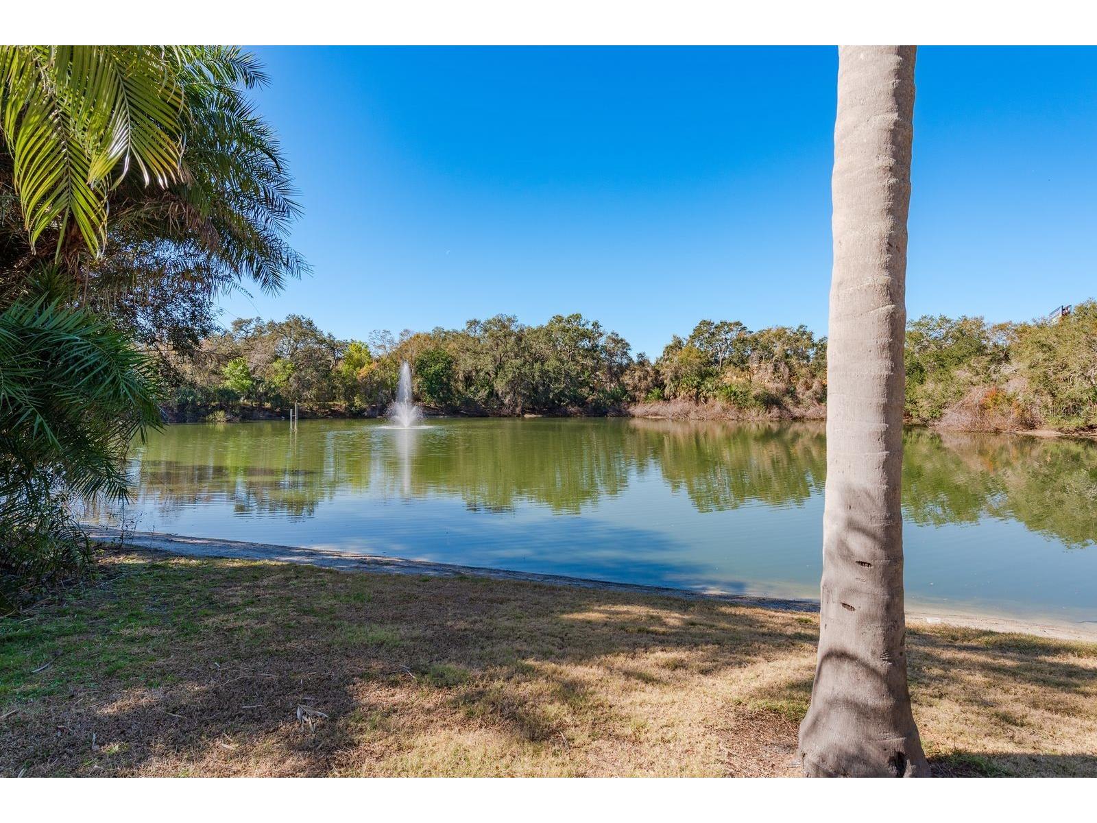 2702 14th Court Palm Harbor FL 34684 TB8475340 image42