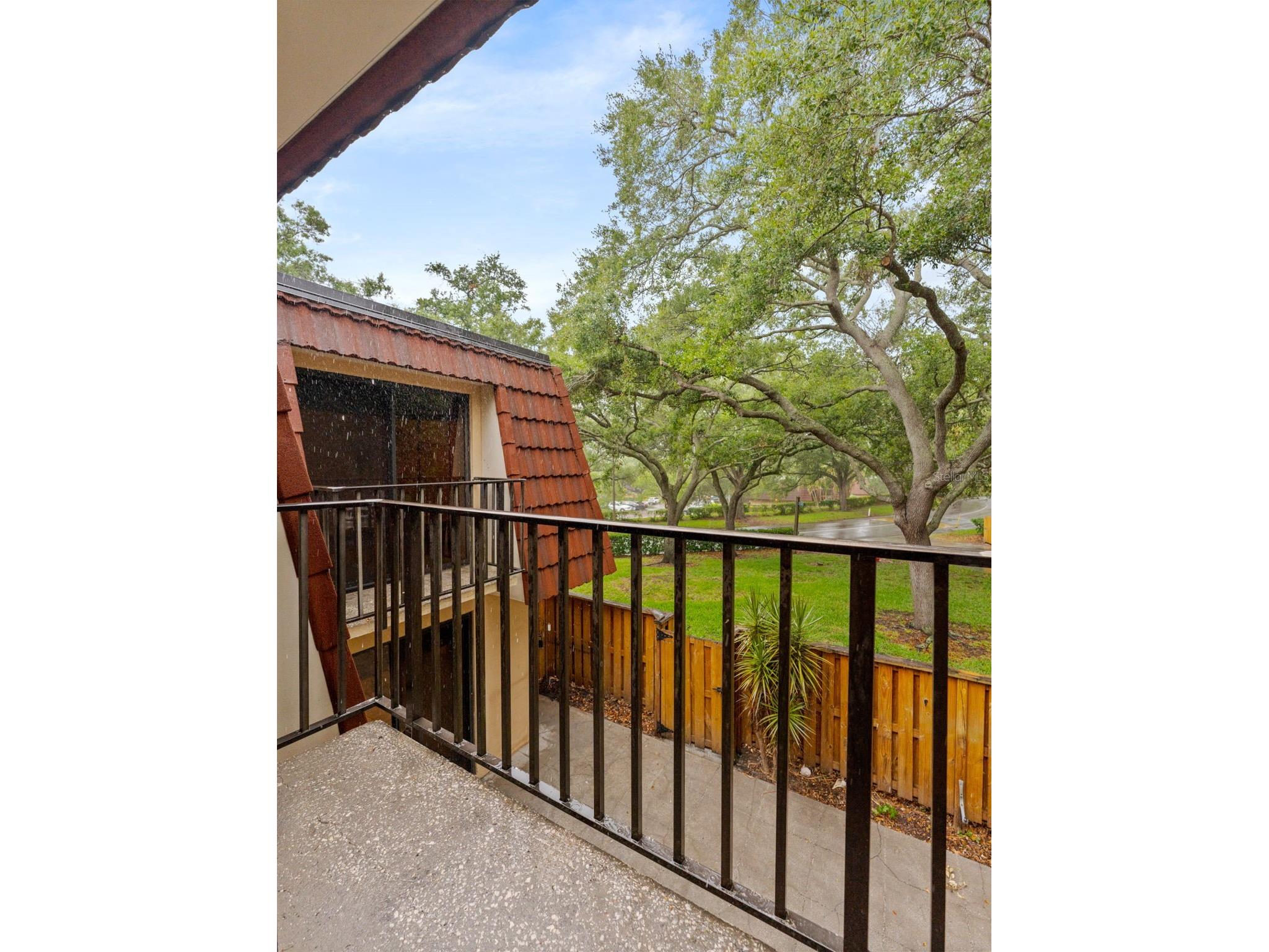2702 4th Court Palm Harbor FL 34684 TB8507461 image20