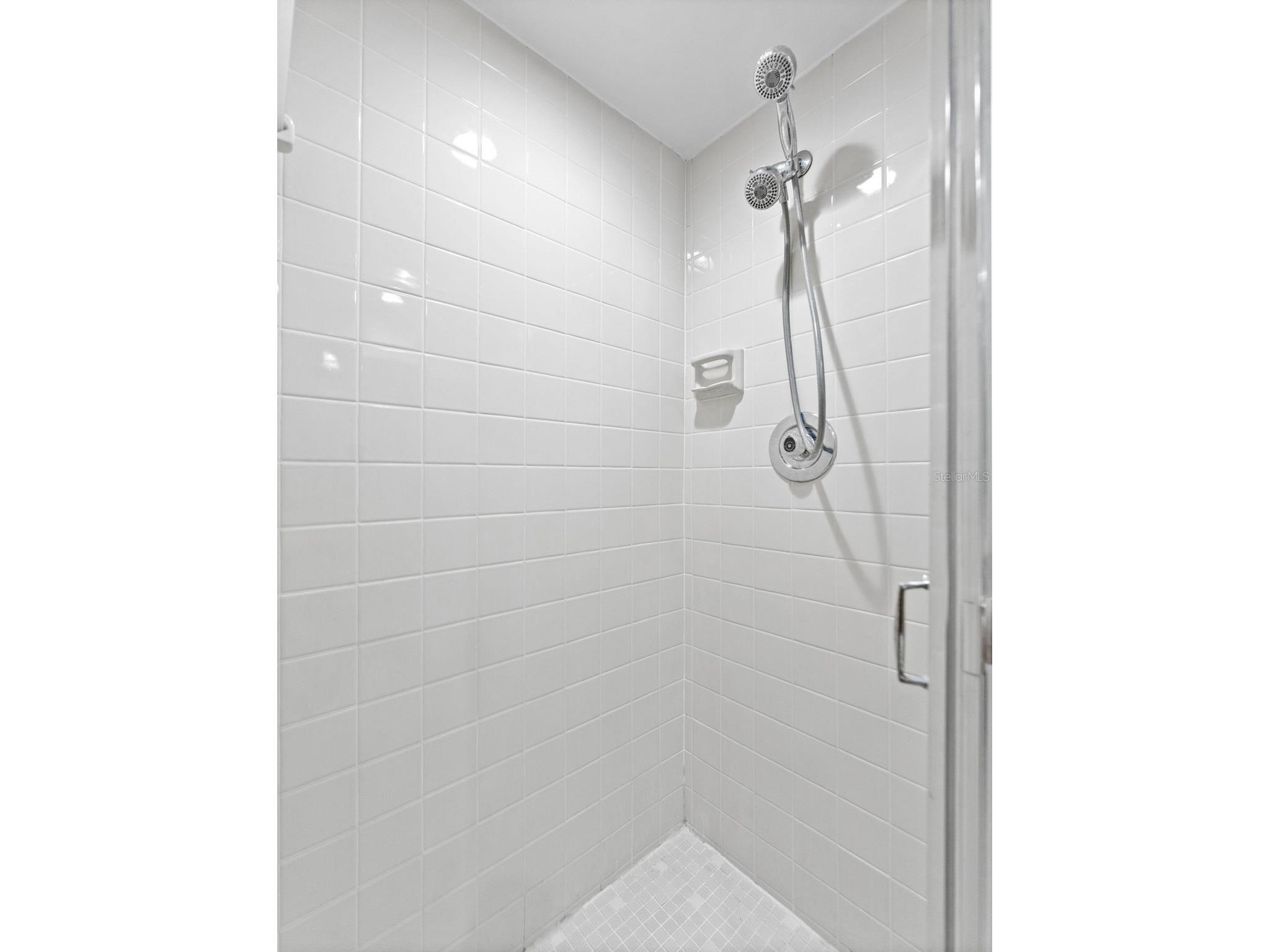 2702 4th Court Palm Harbor FL 34684 TB8507461 image26