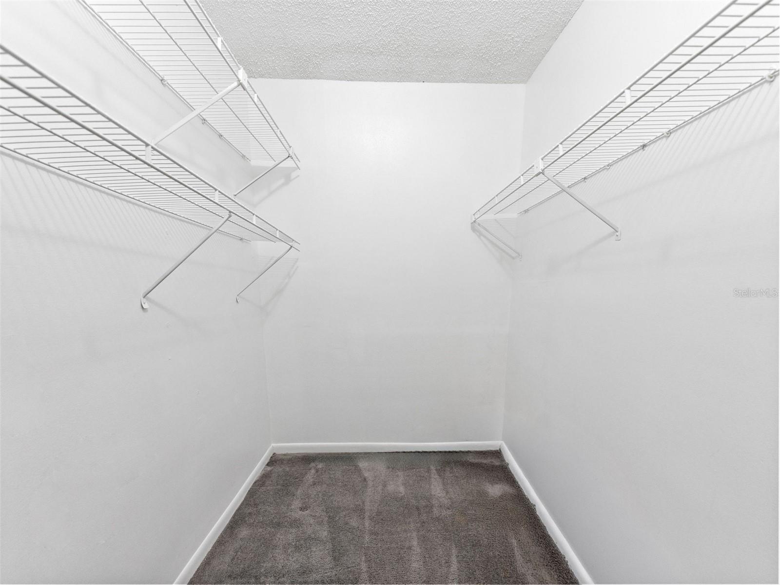 2702 4th Court Palm Harbor FL 34684 TB8507461 image27