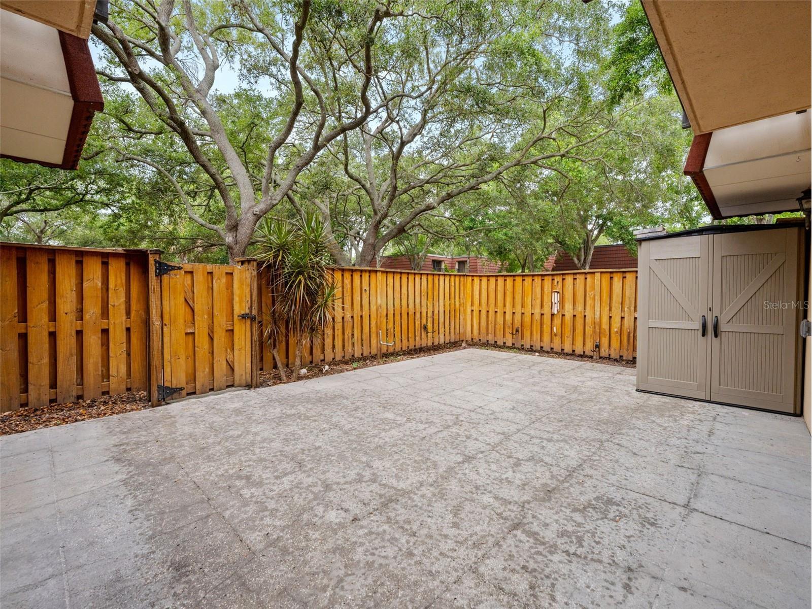 2702 4th Court Palm Harbor FL 34684 TB8507461 image28