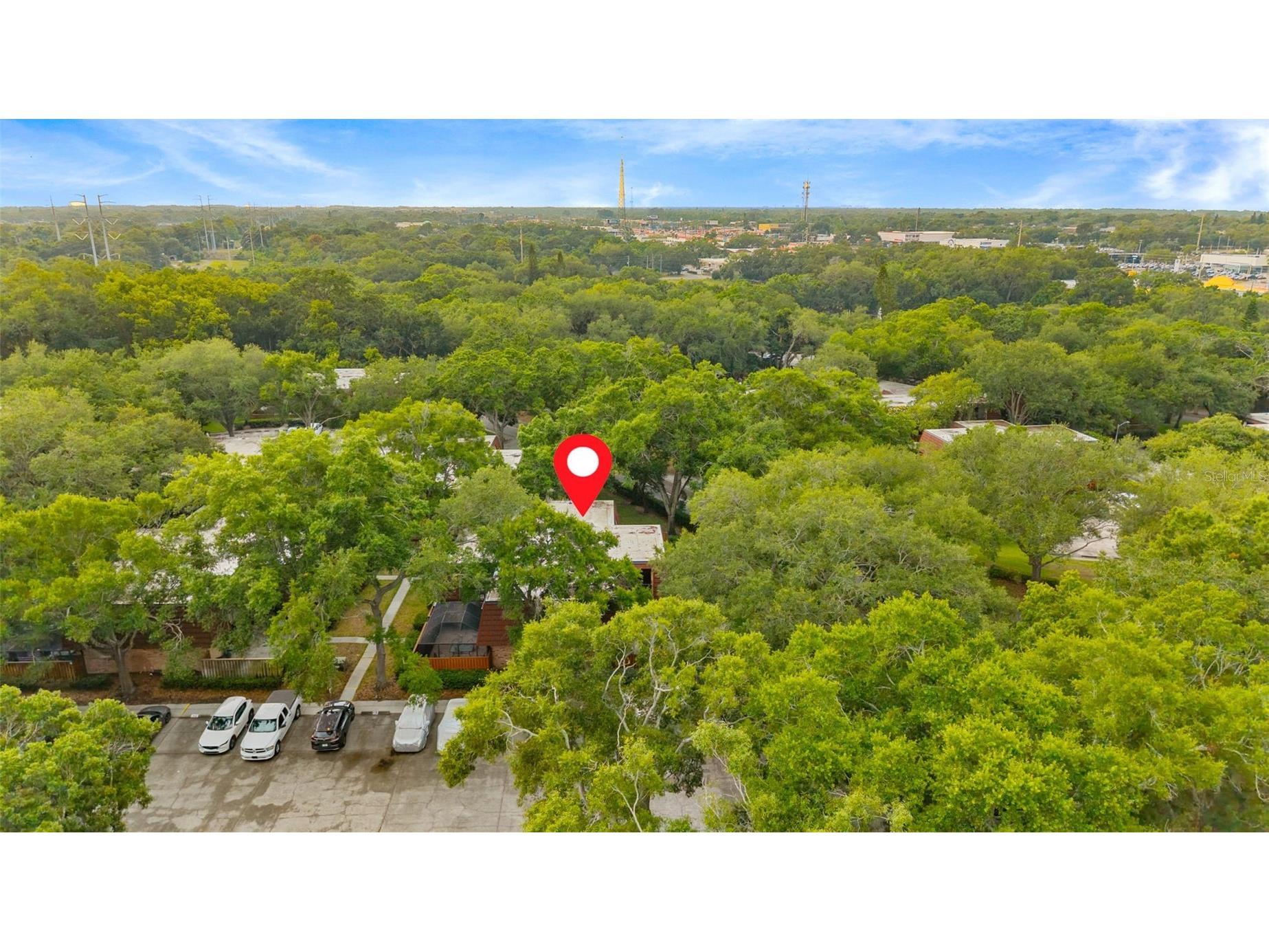 2702 4th Court Palm Harbor FL 34684 TB8507461 image30