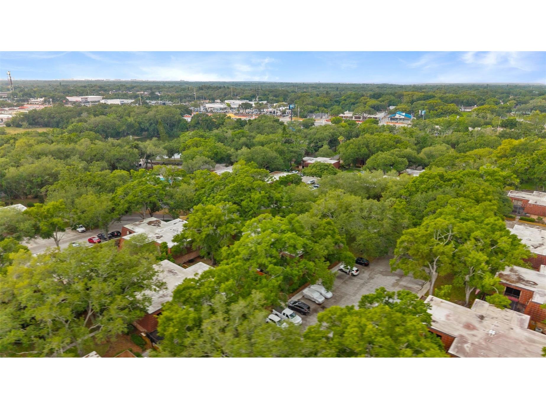 2702 4th Court Palm Harbor FL 34684 TB8507461 image31