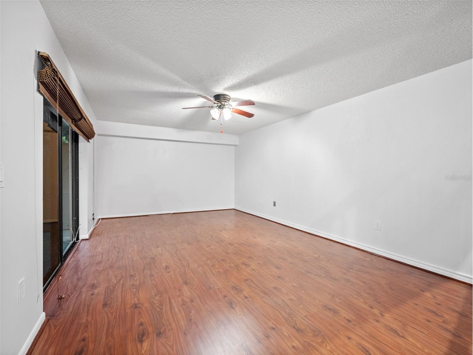 2702 4th Court Palm Harbor FL 34684 TB8507461 image4