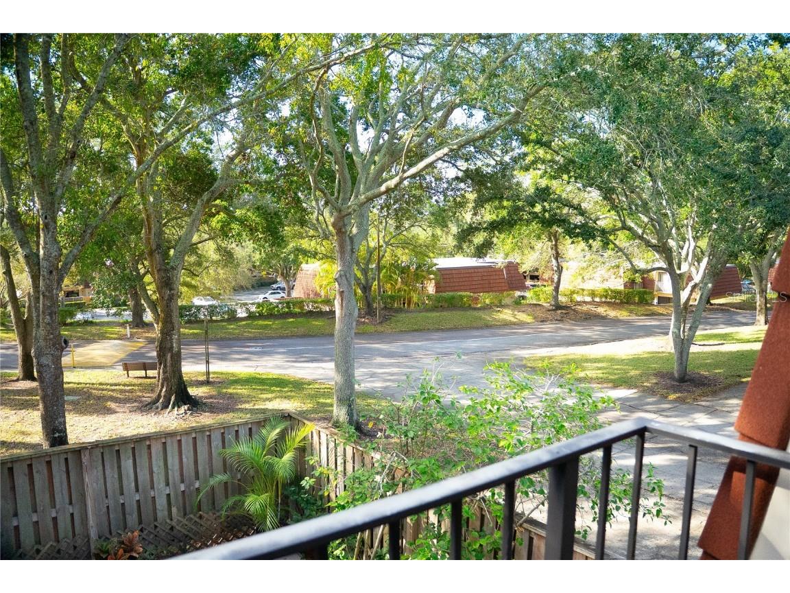 2702 5th Court Palm Harbor FL 34684 TB8457490 image15