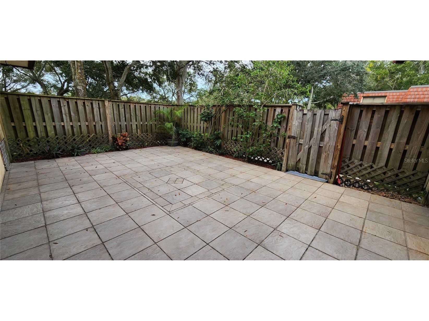 2702 5th Court Palm Harbor FL 34684 TB8457490 image18