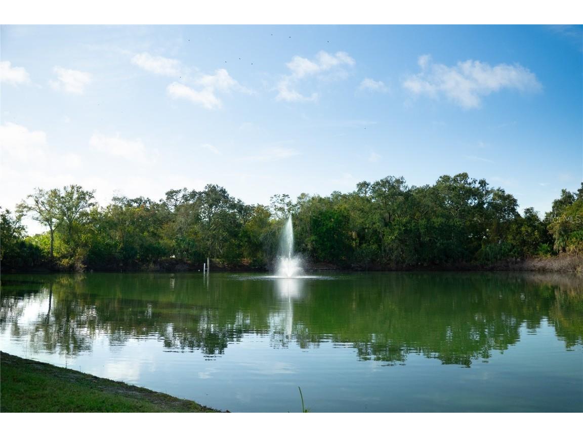 2702 5th Court Palm Harbor FL 34684 TB8457490 image20