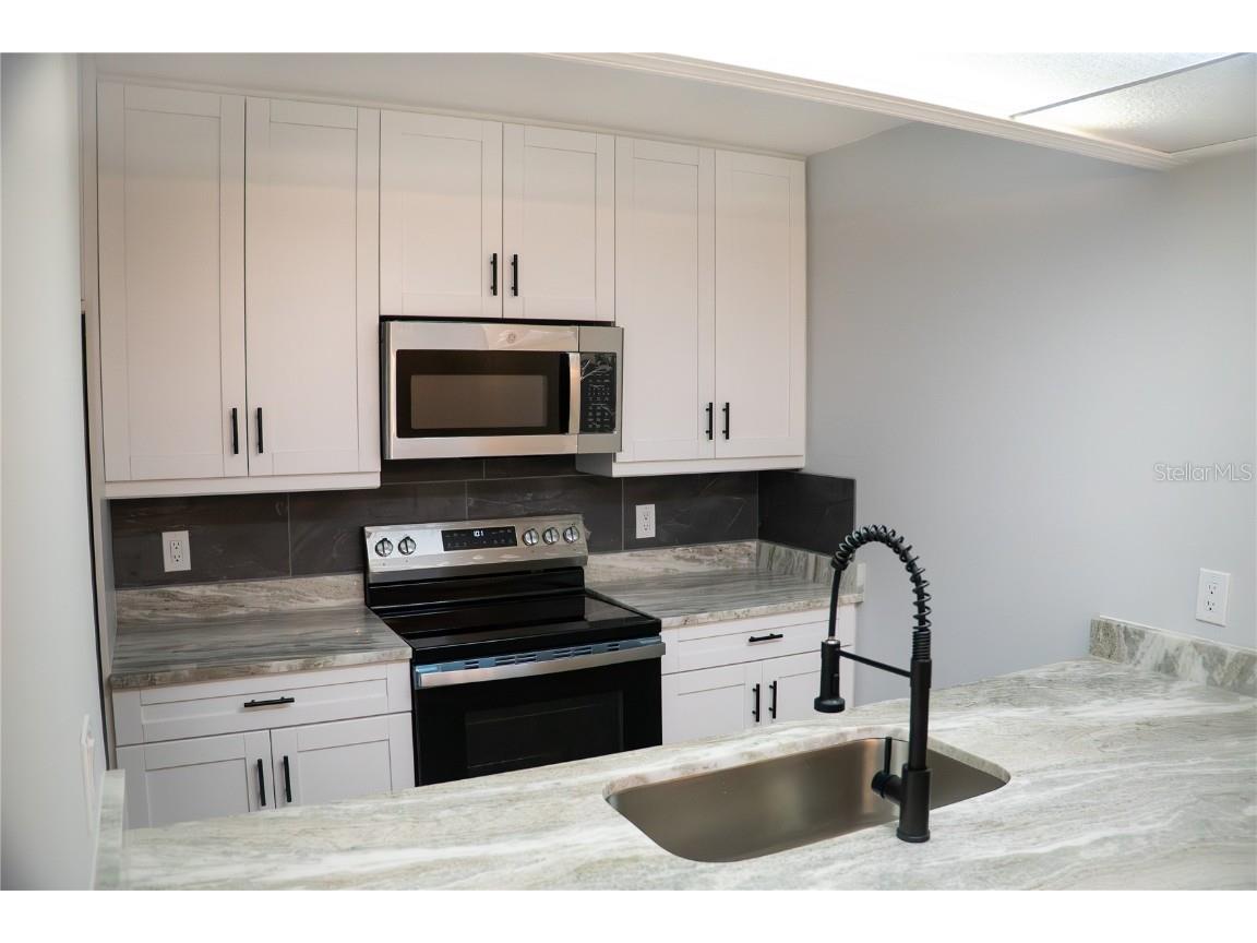 2702 5th Court Palm Harbor FL 34684 TB8457490 image7