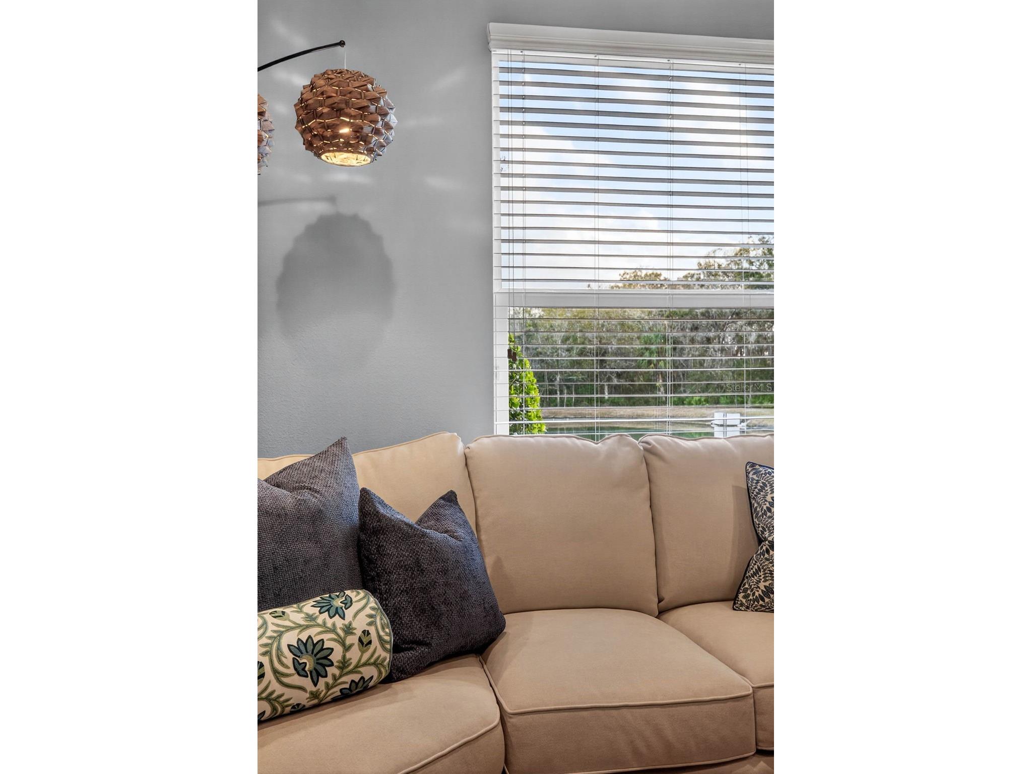 27020 Evergreen Chase Drive Wesley Chapel FL 33544 TB8463155 image37