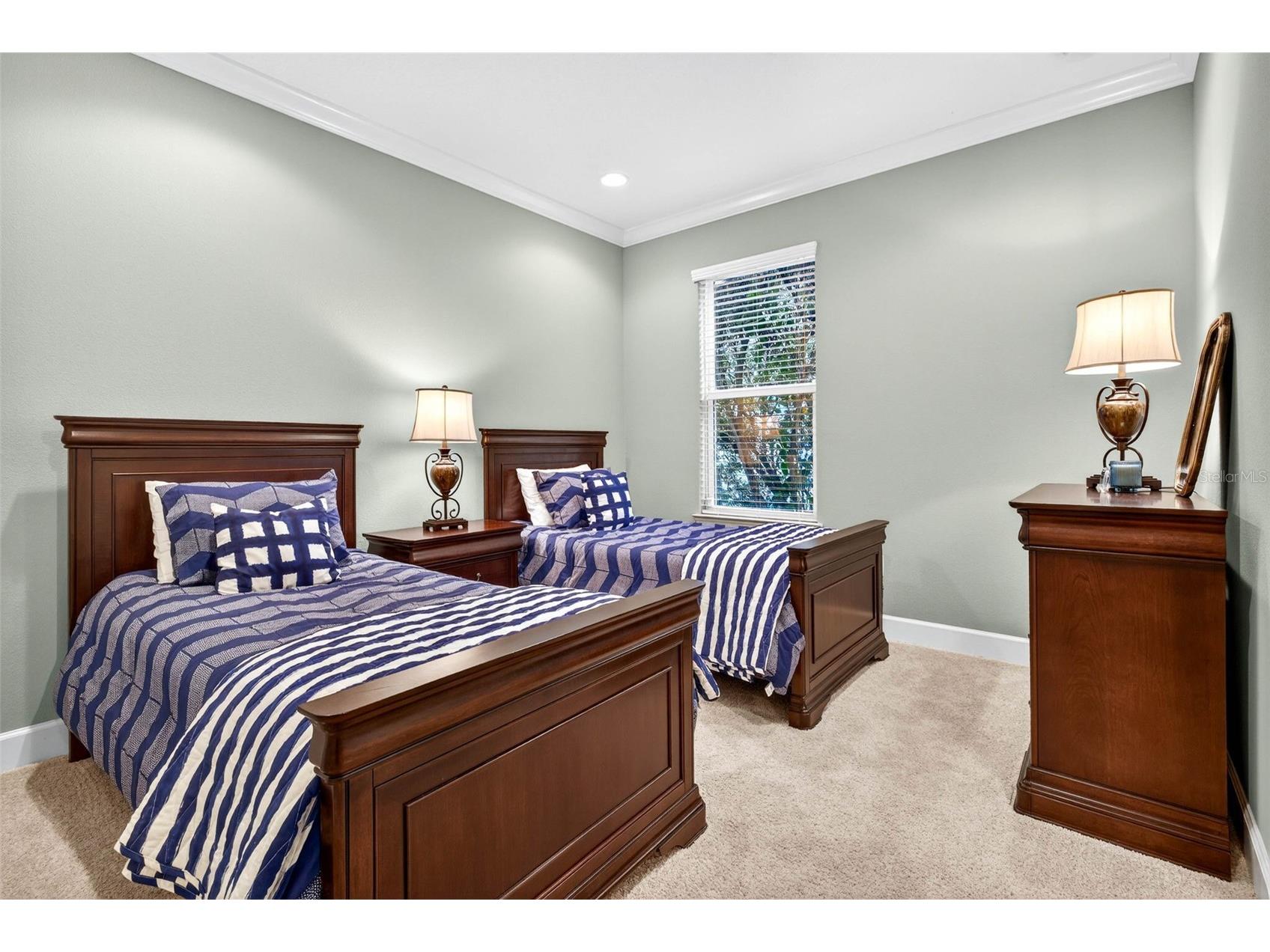 27020 Evergreen Chase Drive Wesley Chapel FL 33544 TB8463155 image40