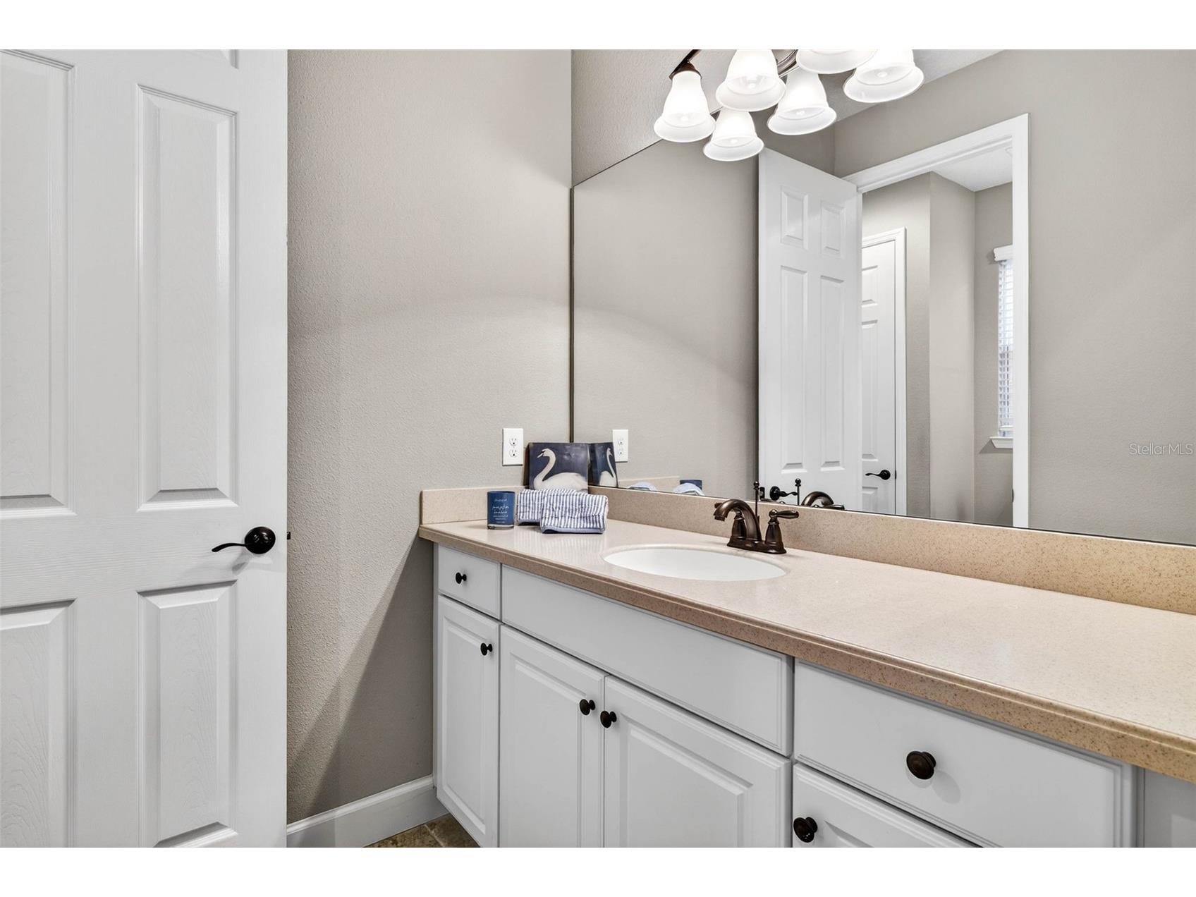 27020 Evergreen Chase Drive Wesley Chapel FL 33544 TB8463155 image43