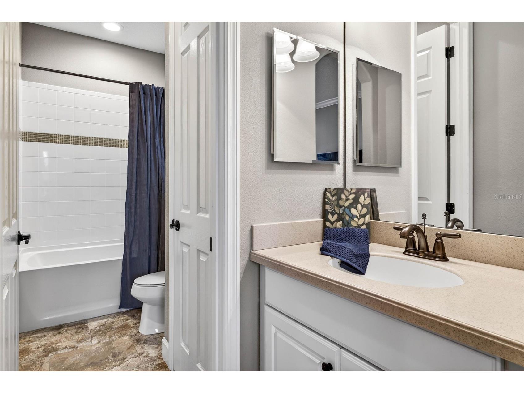 27020 Evergreen Chase Drive Wesley Chapel FL 33544 TB8463155 image44