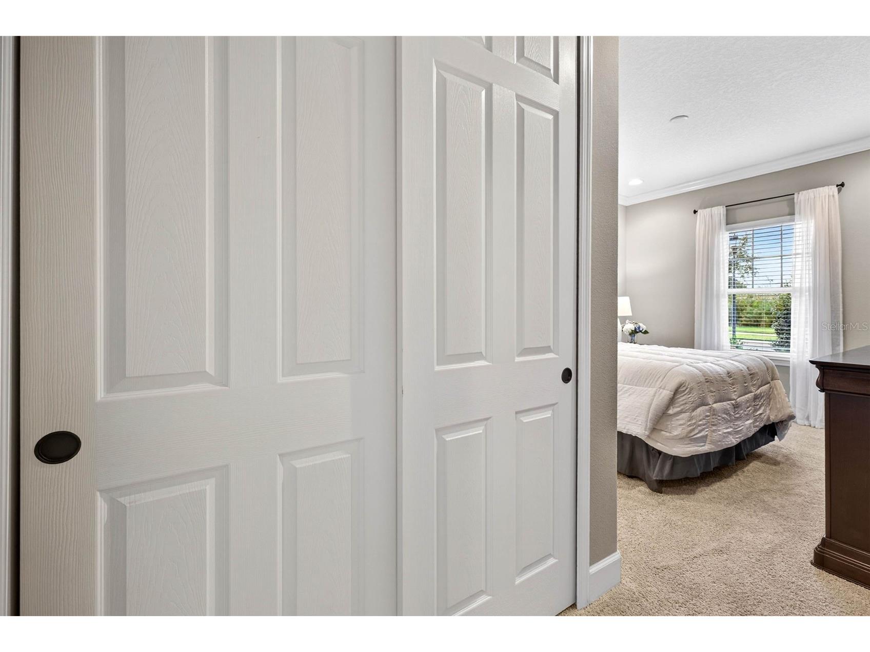 27020 Evergreen Chase Drive Wesley Chapel FL 33544 TB8463155 image49