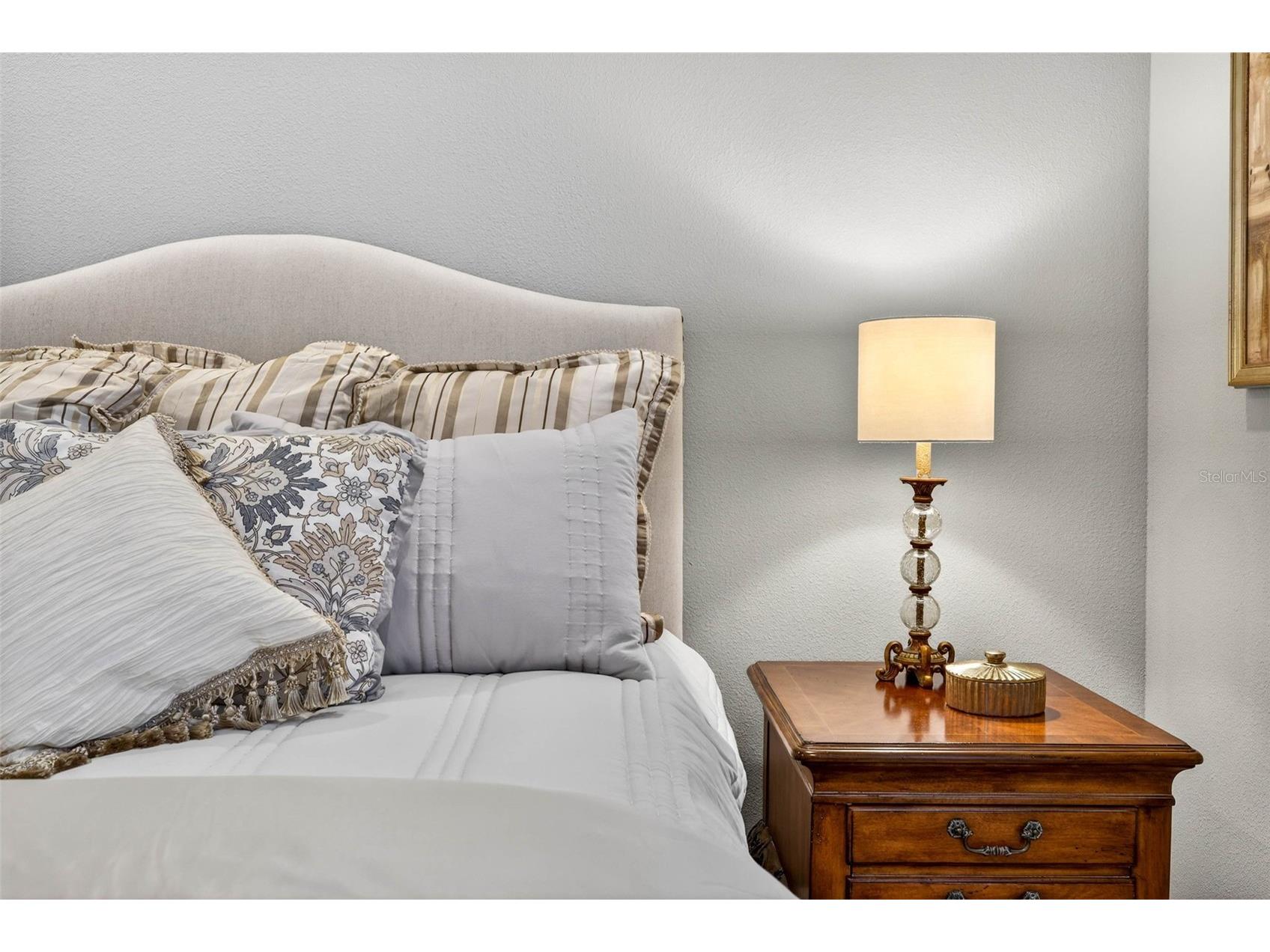 27020 Evergreen Chase Drive Wesley Chapel FL 33544 TB8463155 image52