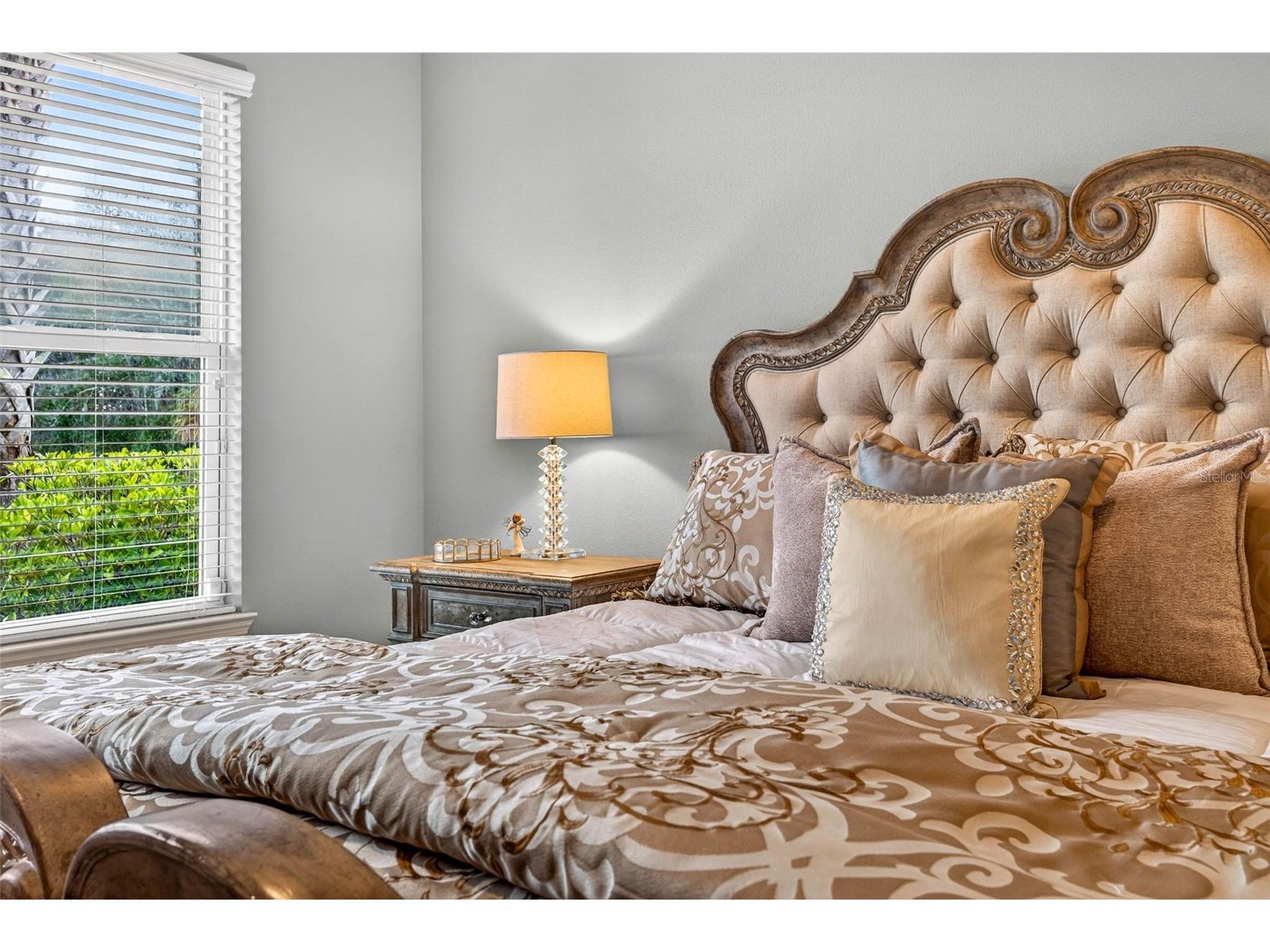27020 Evergreen Chase Drive Wesley Chapel FL 33544 TB8463155 image59