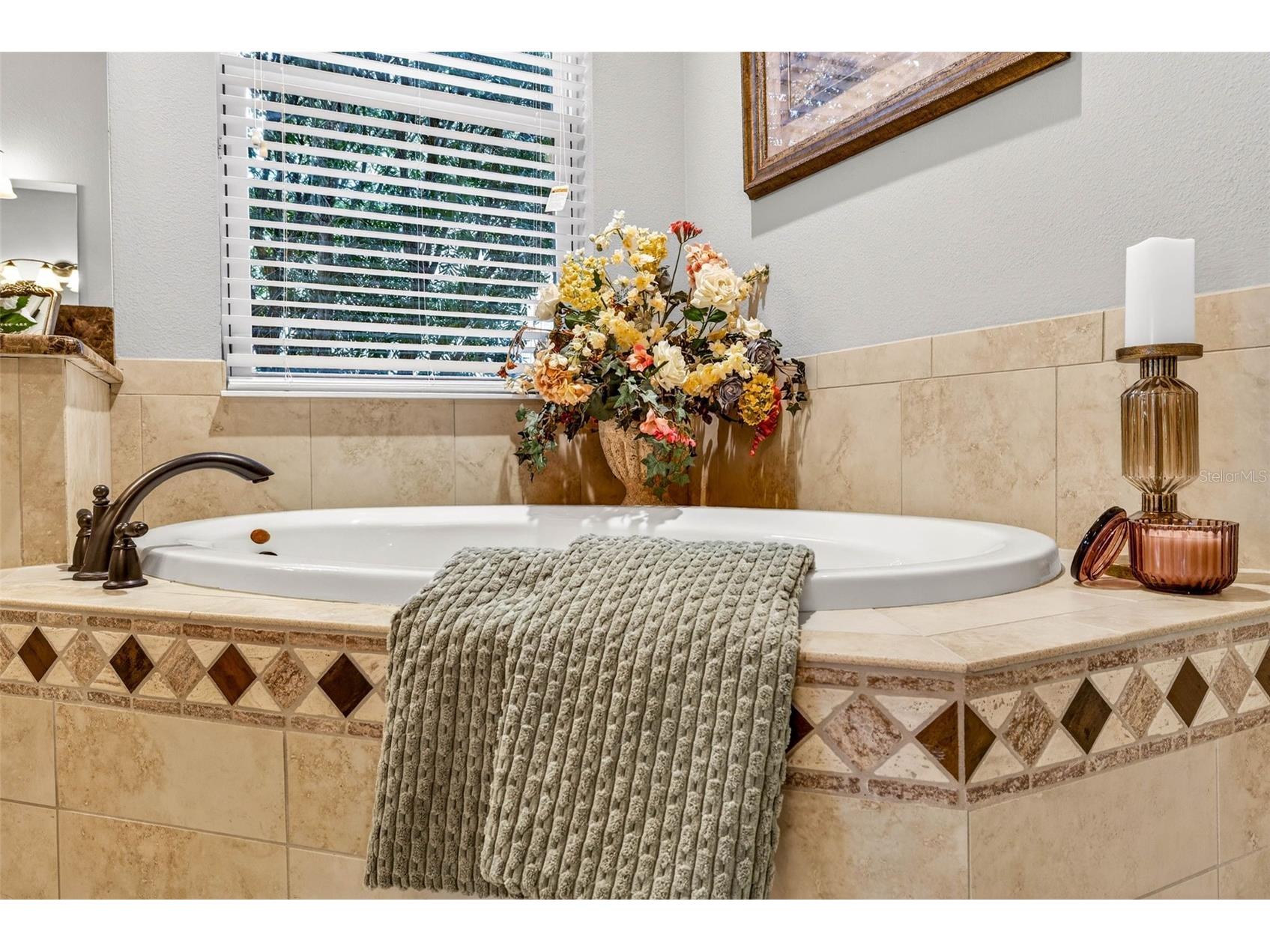 27020 Evergreen Chase Drive Wesley Chapel FL 33544 TB8463155 image67