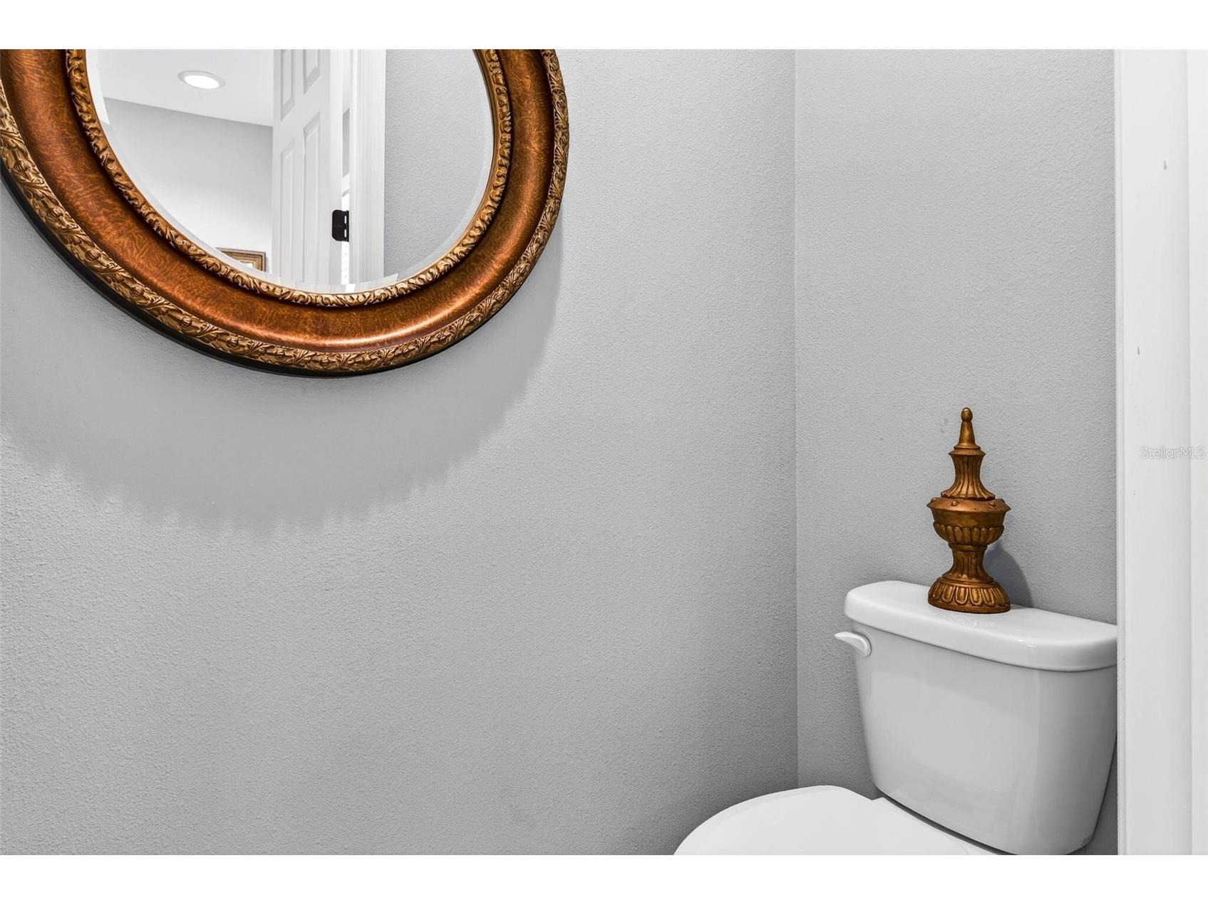 27020 Evergreen Chase Drive Wesley Chapel FL 33544 TB8463155 image68