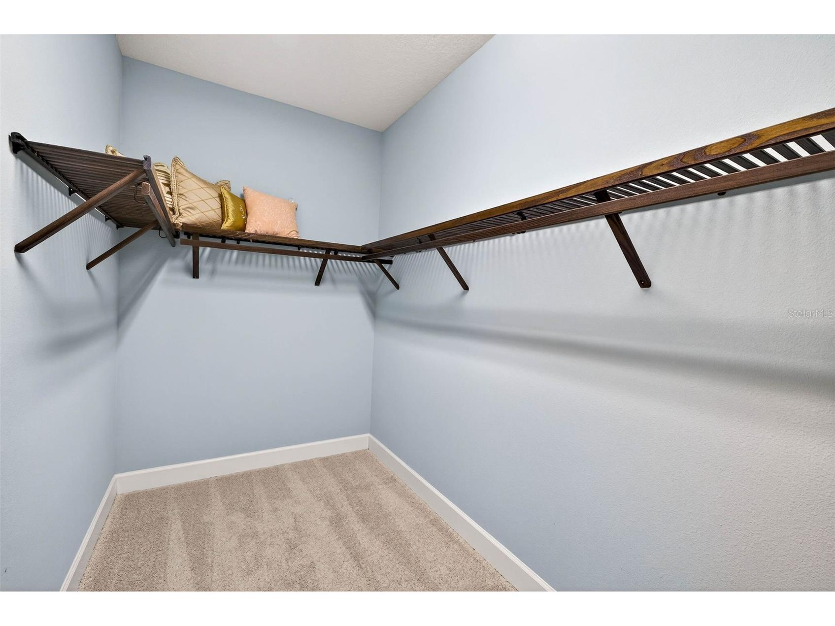 27020 Evergreen Chase Drive Wesley Chapel FL 33544 TB8463155 image69