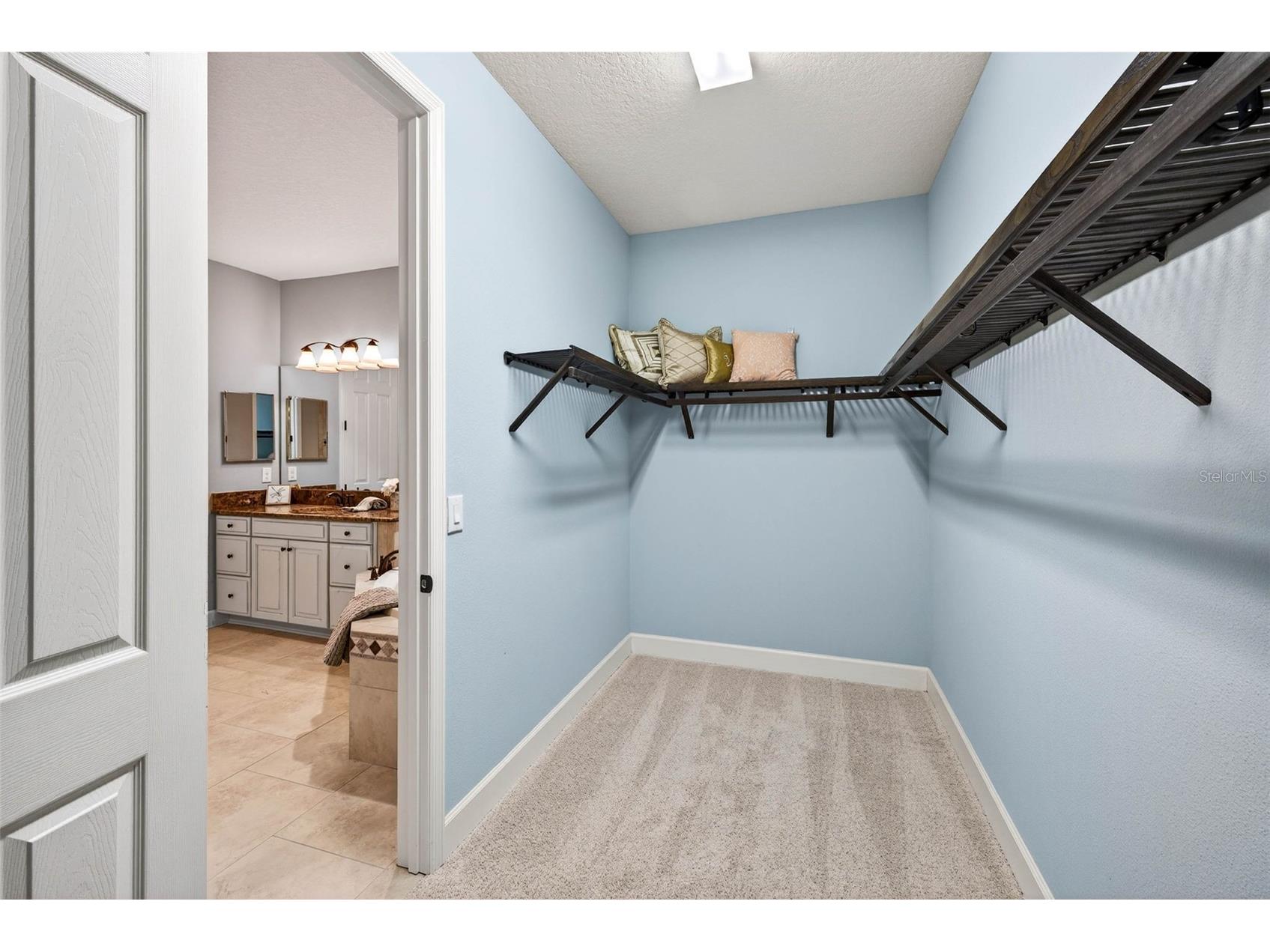 27020 Evergreen Chase Drive Wesley Chapel FL 33544 TB8463155 image70