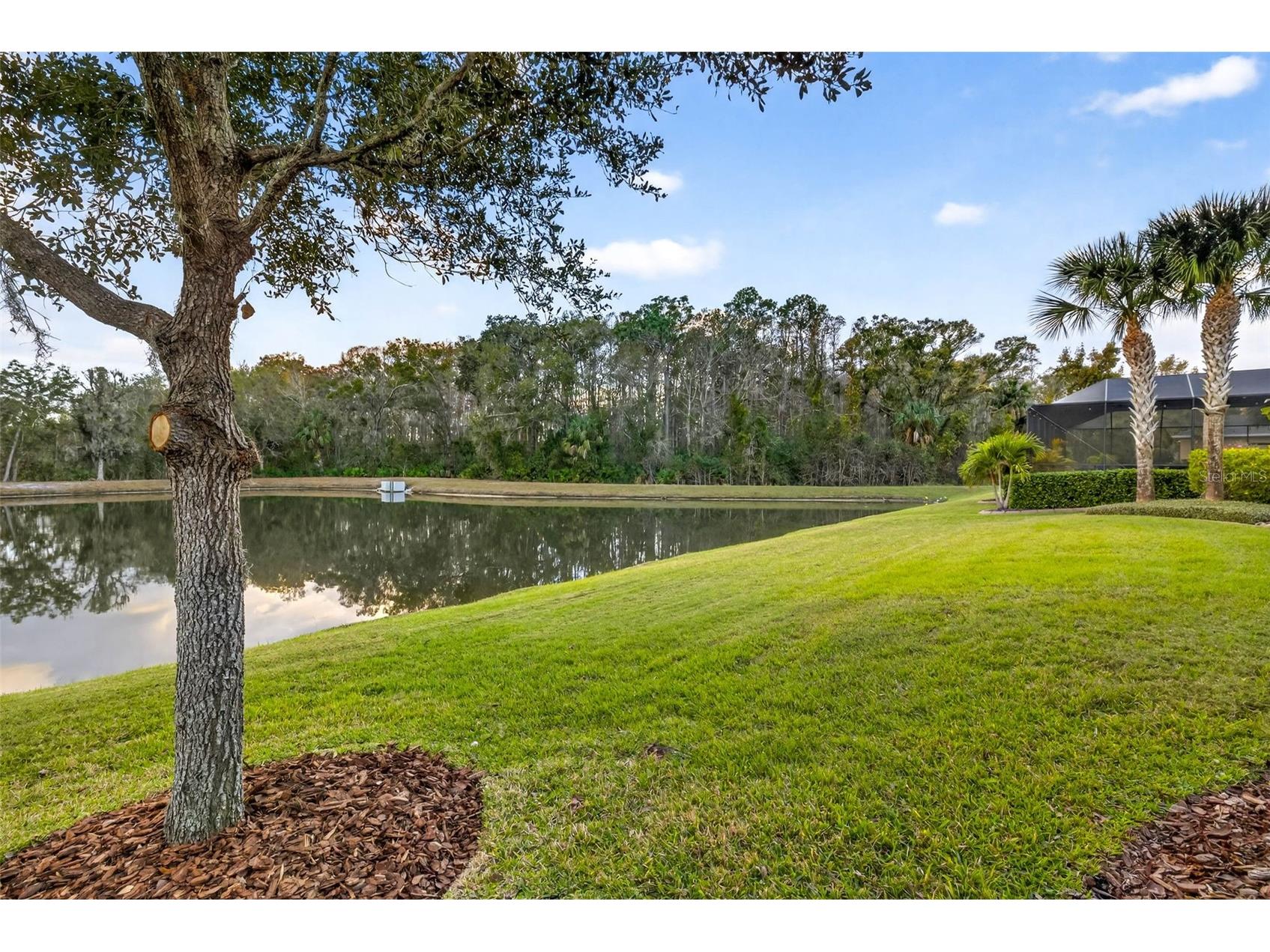 27020 Evergreen Chase Drive Wesley Chapel FL 33544 TB8463155 image77