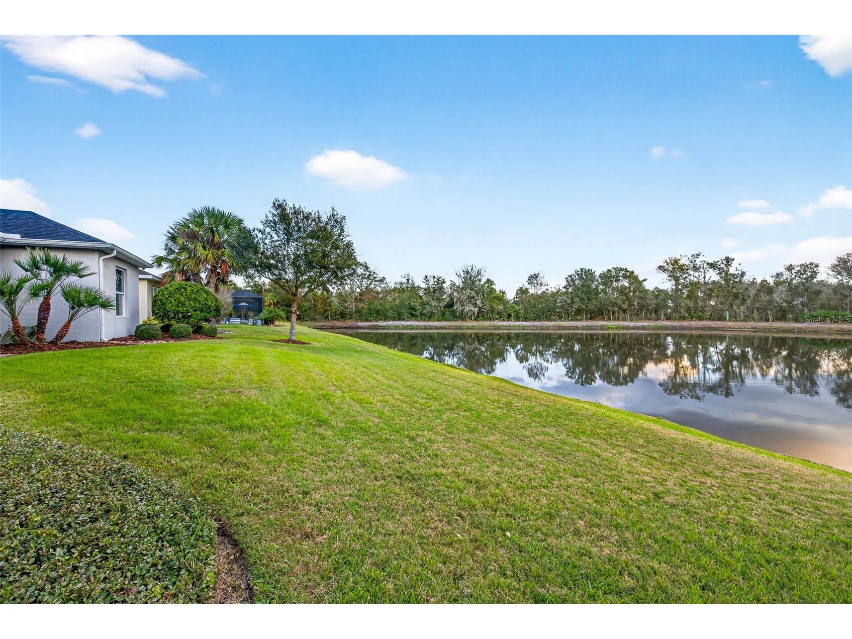 27020 Evergreen Chase Drive Wesley Chapel FL 33544 TB8463155 image78