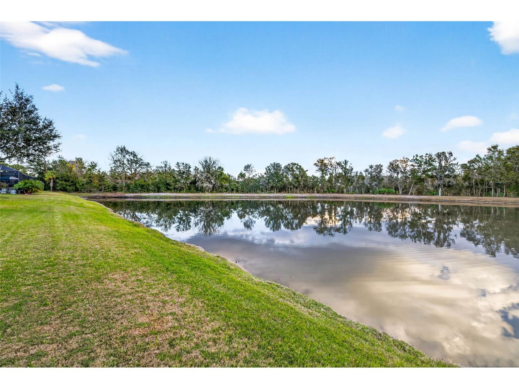 27020 Evergreen Chase Drive Wesley Chapel FL 33544 TB8463155 image79