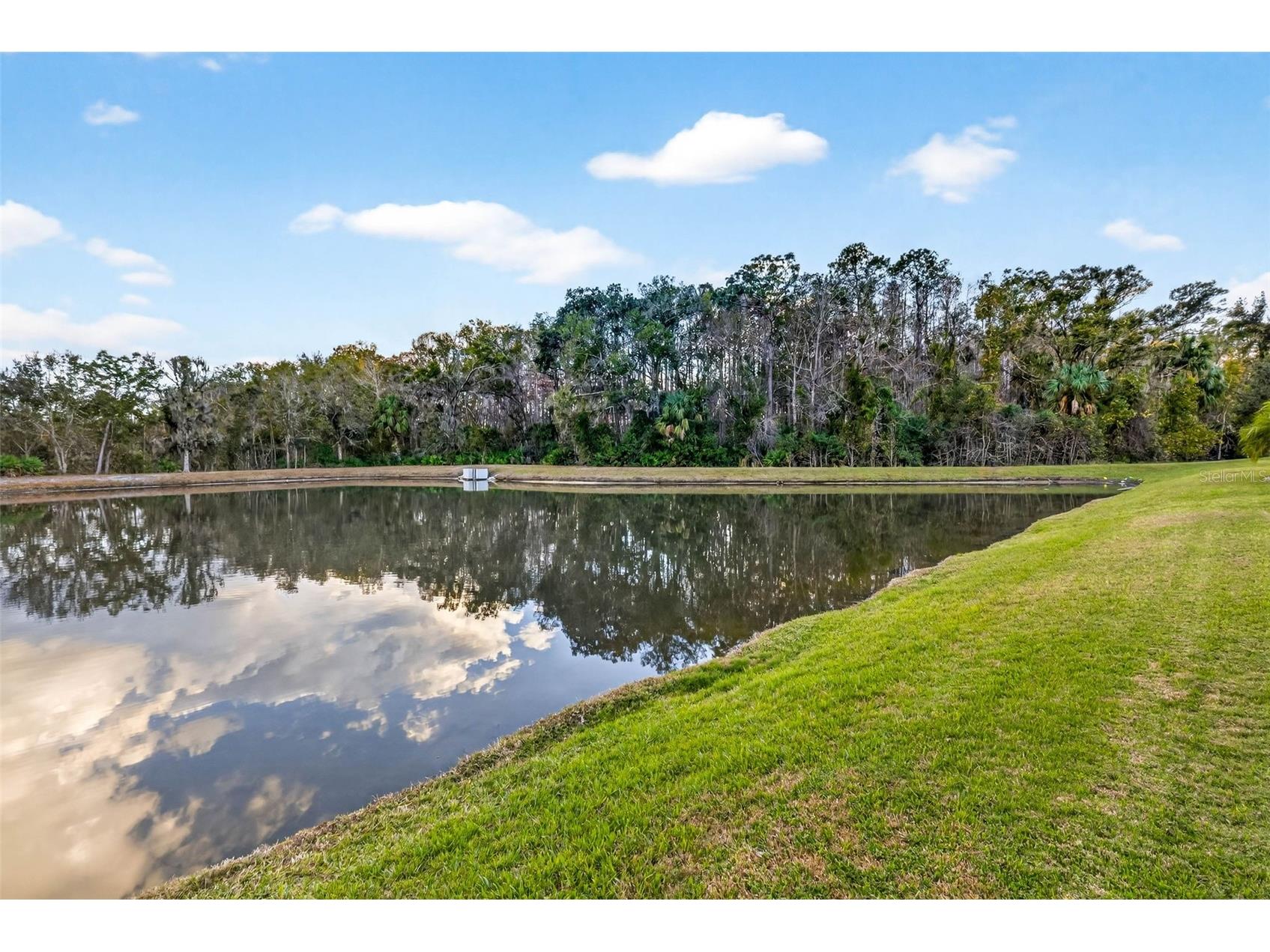 27020 Evergreen Chase Drive Wesley Chapel FL 33544 TB8463155 image80