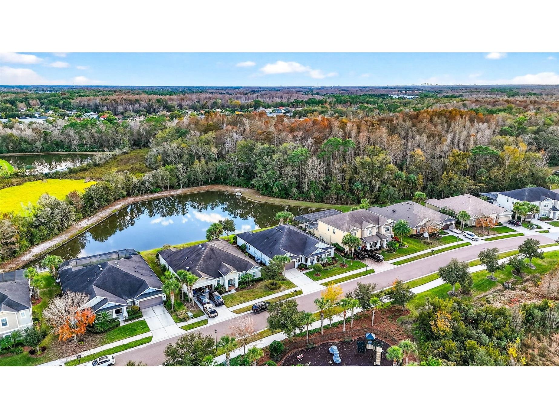 27020 Evergreen Chase Drive Wesley Chapel FL 33544 TB8463155 image91