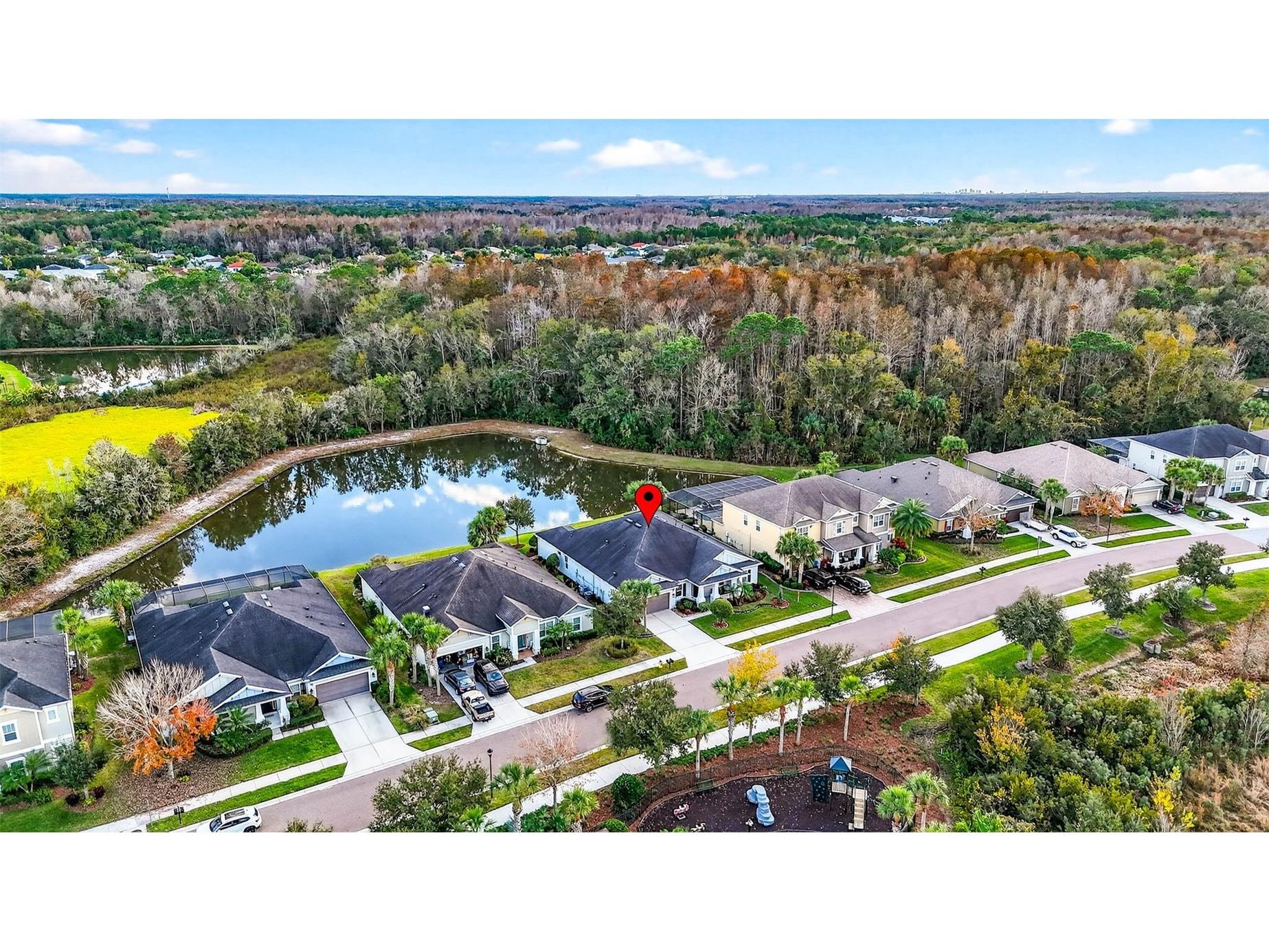 27020 Evergreen Chase Drive Wesley Chapel FL 33544 TB8463155 image92