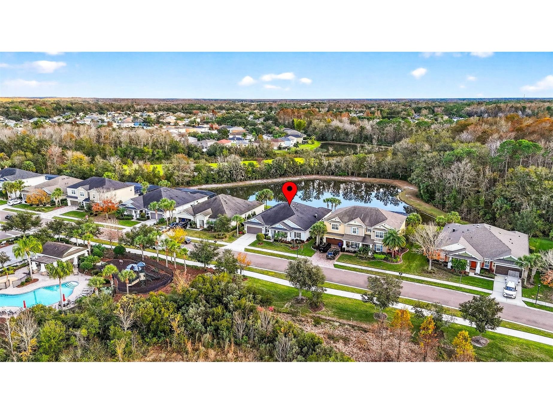 27020 Evergreen Chase Drive Wesley Chapel FL 33544 TB8463155 image93