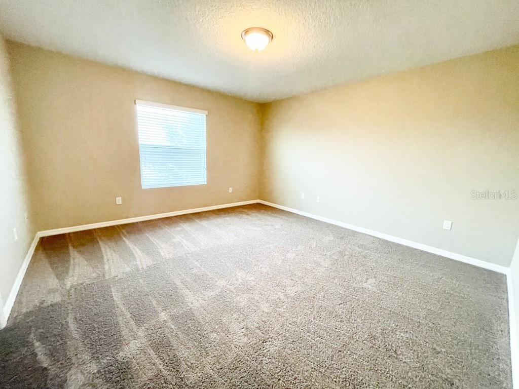 27023 Juniper Bay Drive Wesley Chapel FL 33544 TB8454994 image10