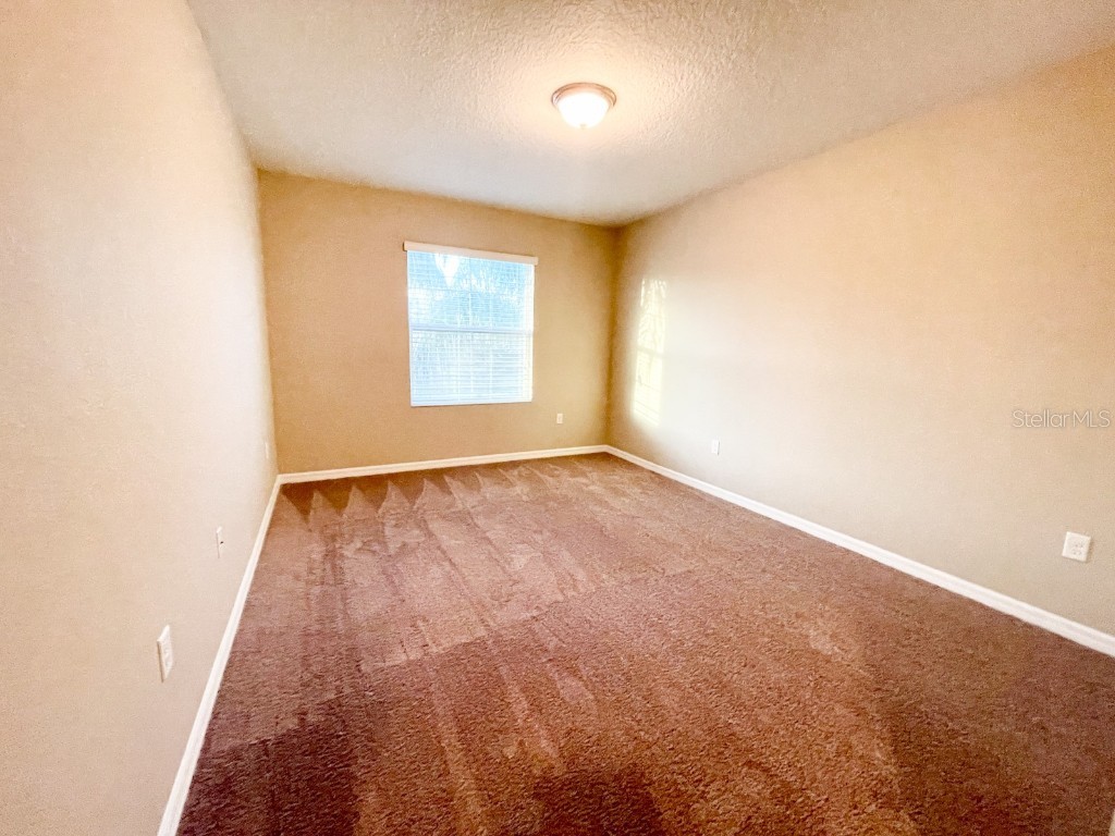 27023 Juniper Bay Drive Wesley Chapel FL 33544 TB8454994 image9