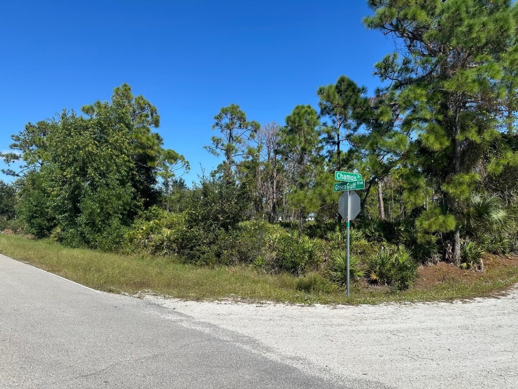 27028 Chamois Drive Punta Gorda FL 33955 O6360413 image2