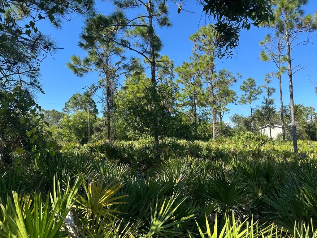 27028 Chamois Drive Punta Gorda FL 33955 O6360413 image4