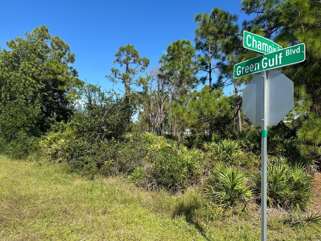 27028 Chamois Drive Punta Gorda FL 33955 O6360413 image5