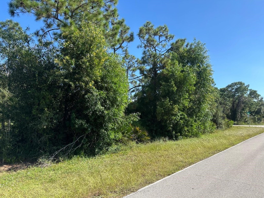 27028 Chamois Drive Punta Gorda FL 33955 O6360413 image6