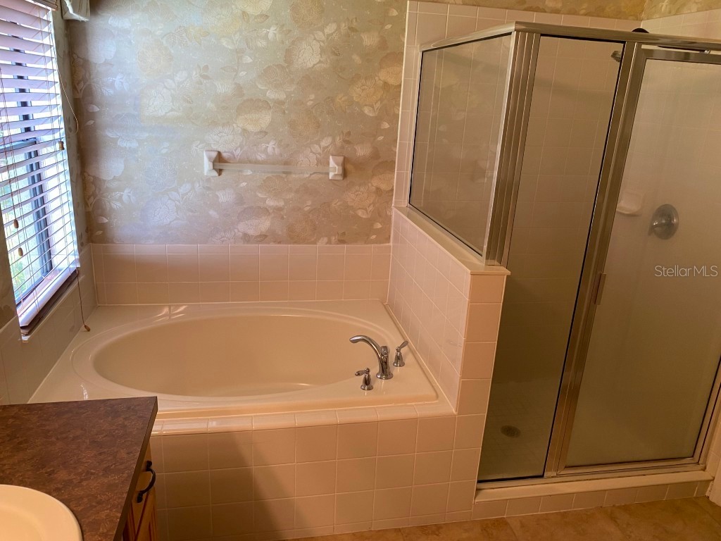 2703 Gullane Court Kissimmee FL 34746 S5145904 image12