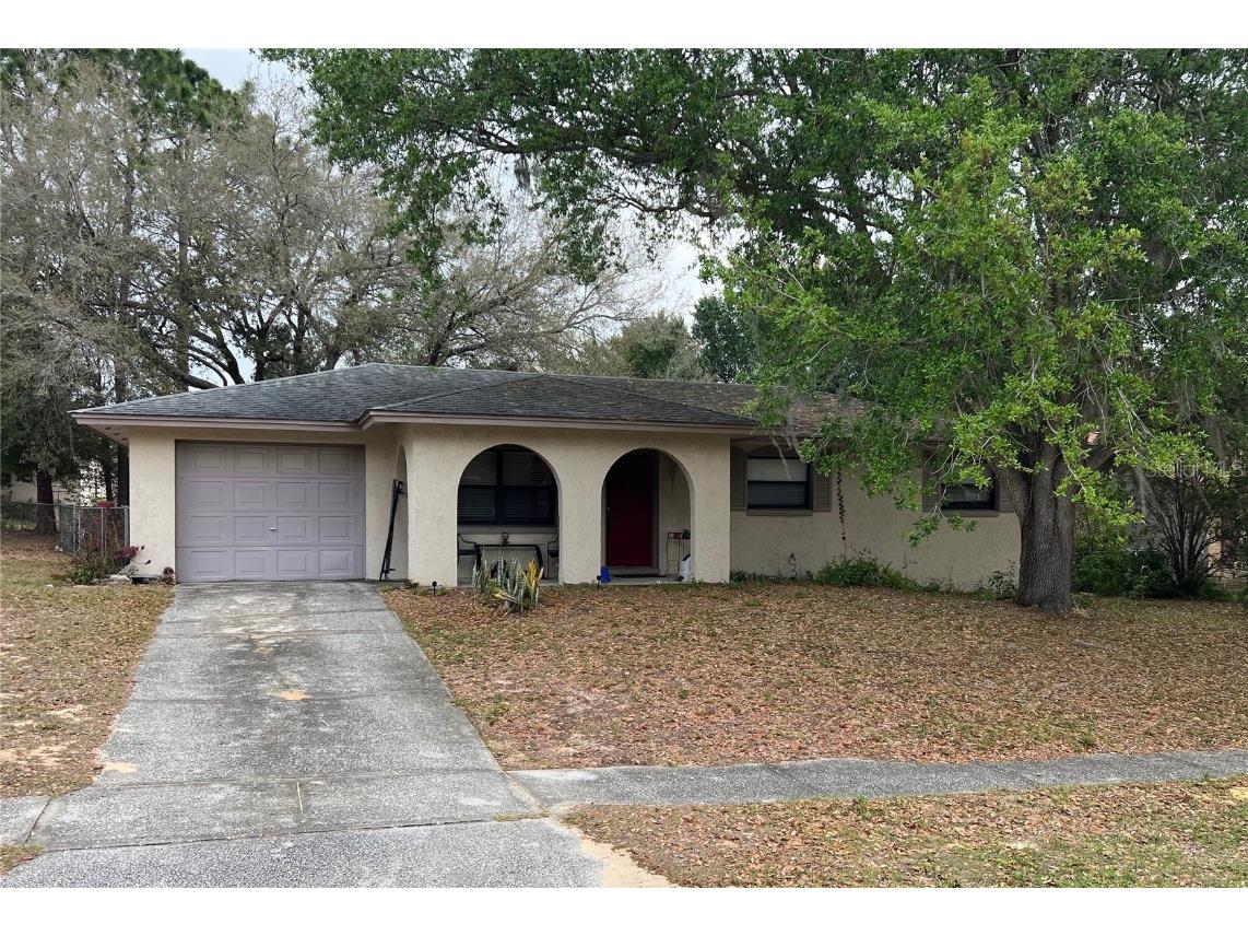 2703 Lakewood Lane Eustis FL 32726 O6113218 image1