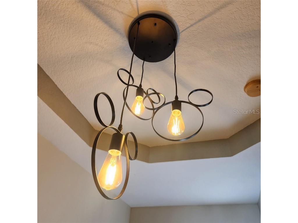 2703 Manesty Lane Kissimmee FL 34747 O6346838 image25