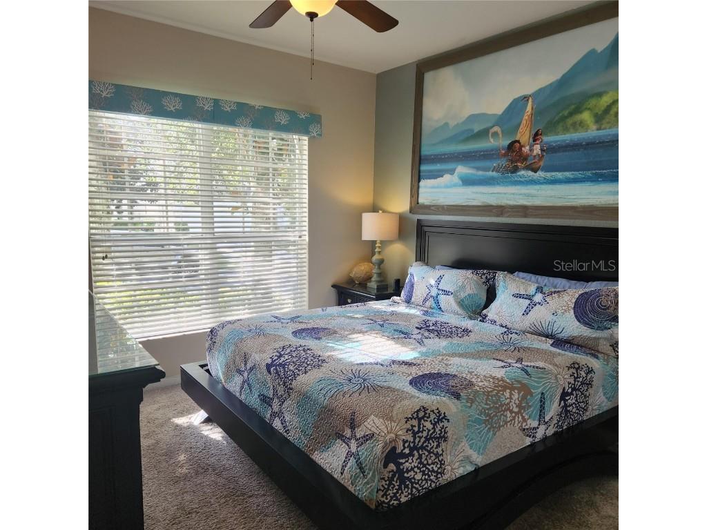 2703 Manesty Lane Kissimmee FL 34747 O6346838 image27