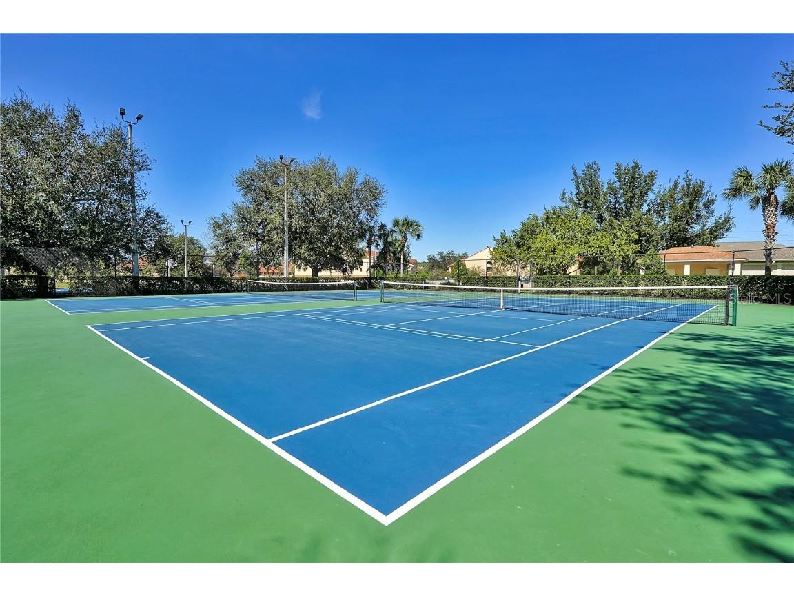 2703 Manesty Lane Kissimmee FL 34747 O6346838 image79